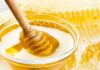 Honey’s Strategic Command: Optimizing Snacking with Honey Drips Honey Drip